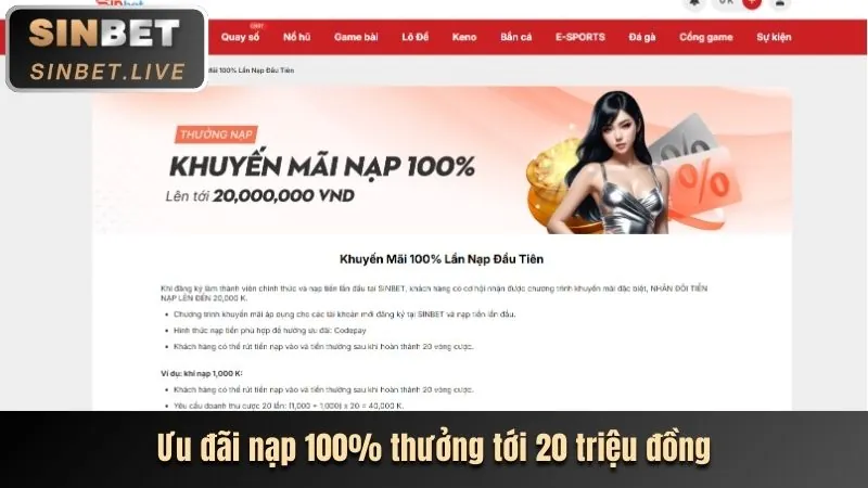 Khuyến mãi đặc biệt vty05 nhà cái